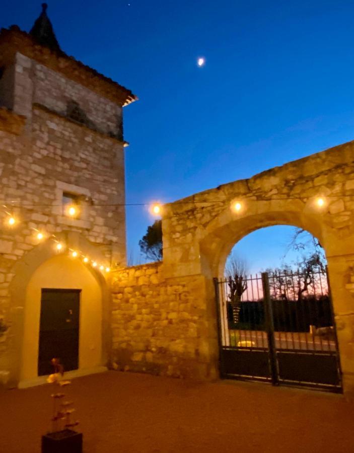 Domaine De Lejos - Portes D'Albi Lamillarie Exterior photo