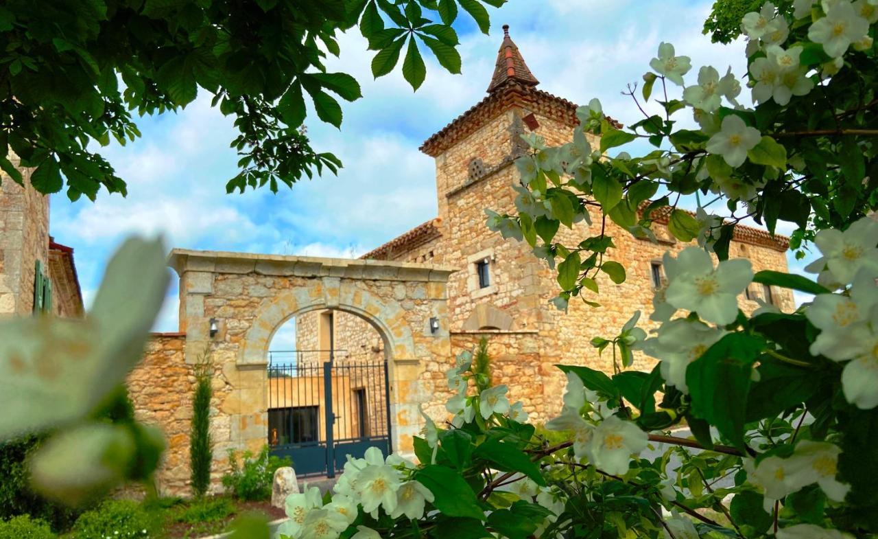 Domaine De Lejos - Portes D'Albi Lamillarie Exterior photo
